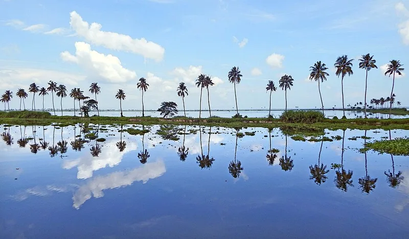 Best Things to Do in Kerala