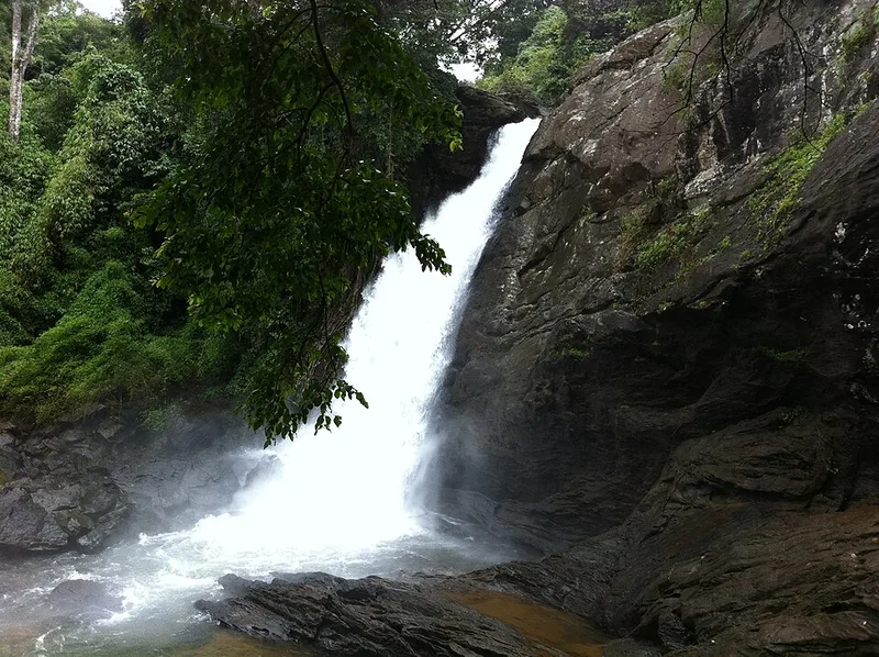 Munnar, Thekkady and Alleppey Family Holiday