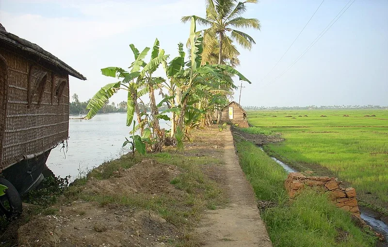 Best Places to Visit in Kerala: A Local's Honest Guide (2026)