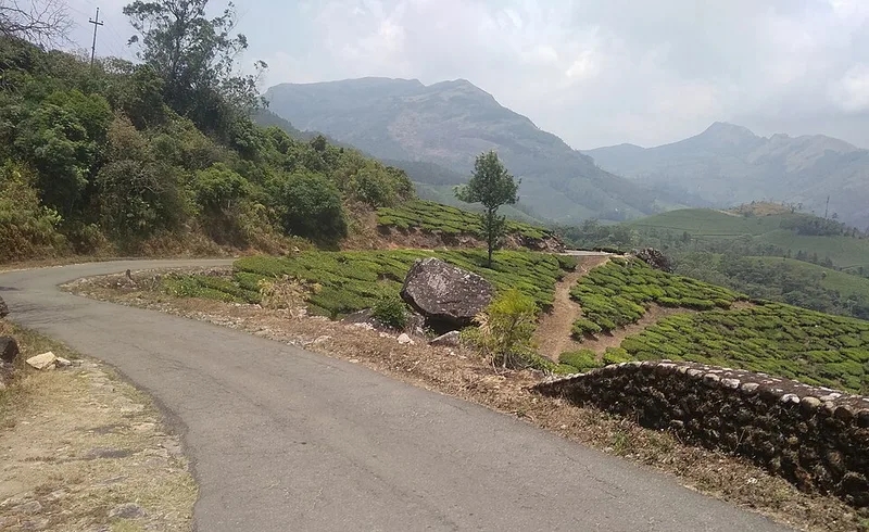 Wayanad Tourism: A Complete Travel Guide