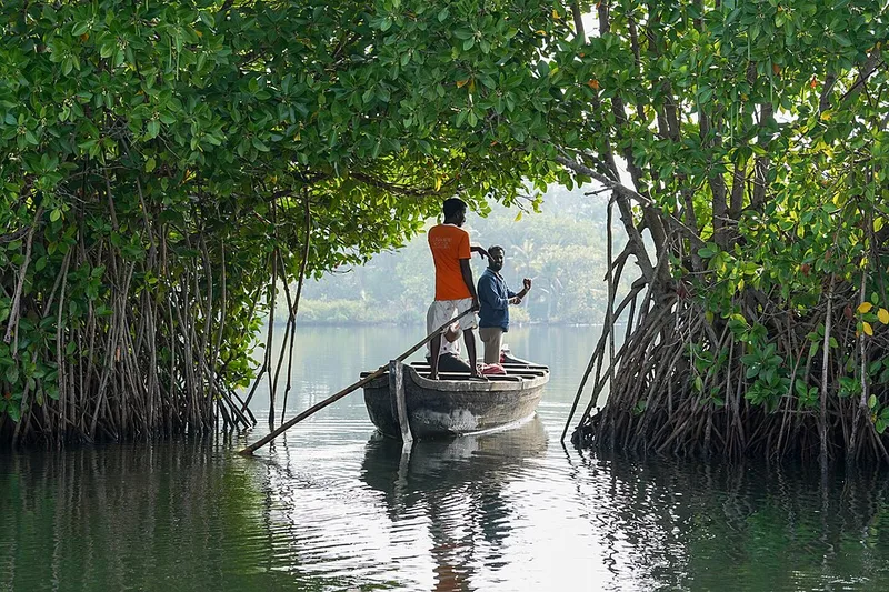 Ashtamudi houseboat
