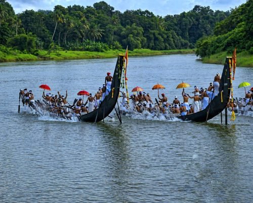 Snake boat race