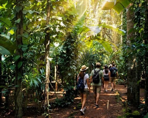 Spice Plantation