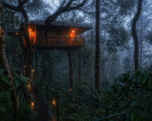 Tree House Kerala